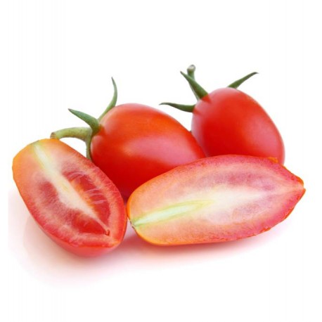 pomodoroinsalata